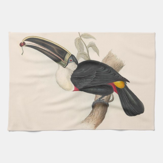 Antique Toucan Bird Wildlife Painting Tea Towel (Horizontal)