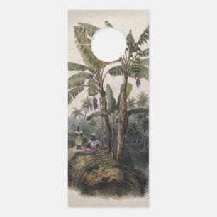 Antique Tropical Banana Tree Forest   Vintage Bota Door Hanger