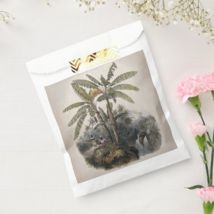 Antique Tropical Banana Tree Forest   Vintage Bota Favour Bags