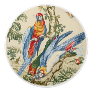Antique Tropical Parrot and Butterfly Fine Art Ceramic Knob