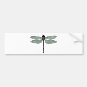 antique typographic vintage dragonfly bumper sticker