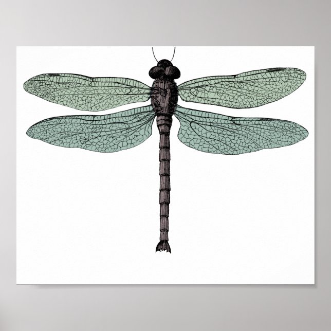 antique typographic vintage dragonfly poster (Front)