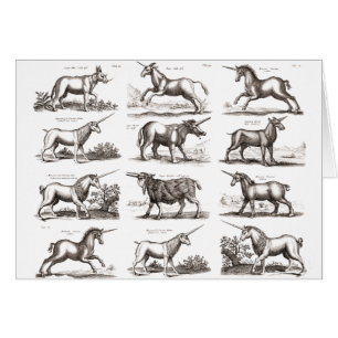 Antique Unicorn Engraving Vintage Zoology Specimen