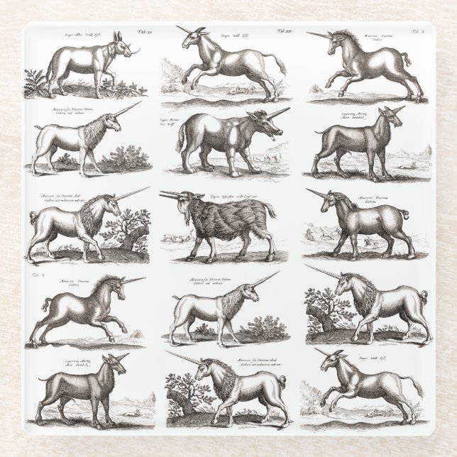 Antique Unicorn Engraving Vintage Zoology Specimen Glass Coaster (Front)