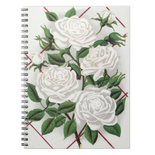 Antique Victorian White Climbing Rose Garden Notebook