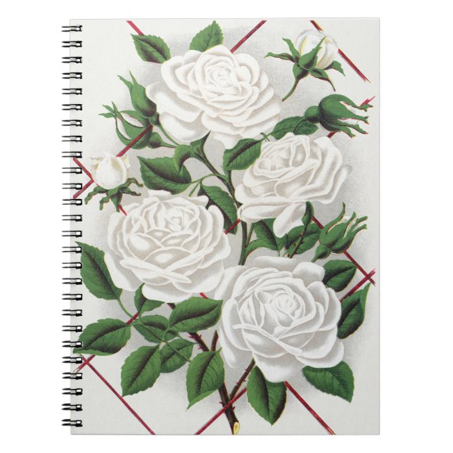 Antique Victorian White Climbing Rose Garden Notebook (Front)