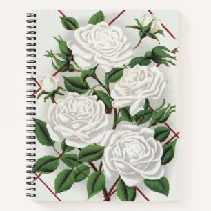 Antique Victorian White Climbing Rose Garden Notebook