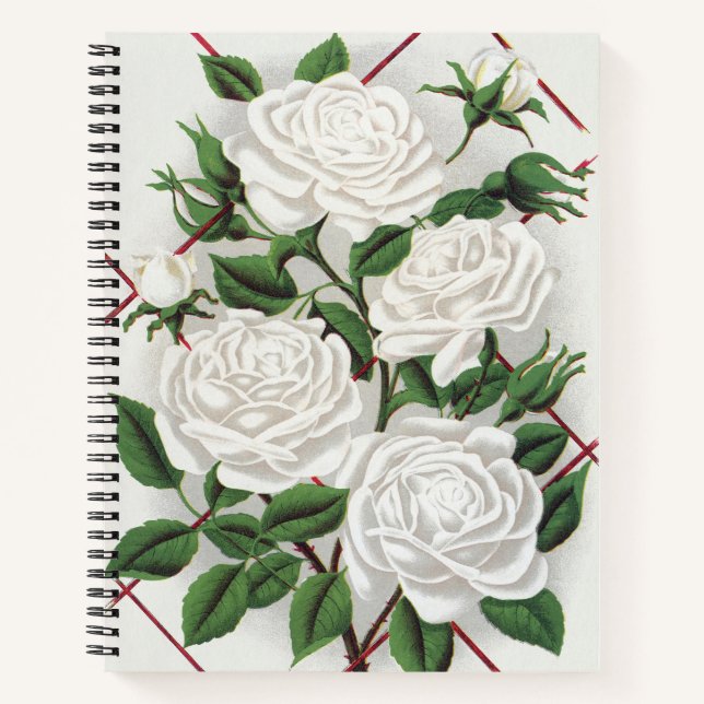 Antique Victorian White Climbing Rose Garden Notebook (Front)