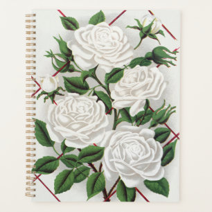 Antique Victorian White Climbing Rose Garden Planner