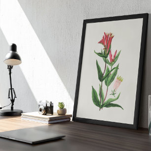 Antique Watercolor Botanical Print
