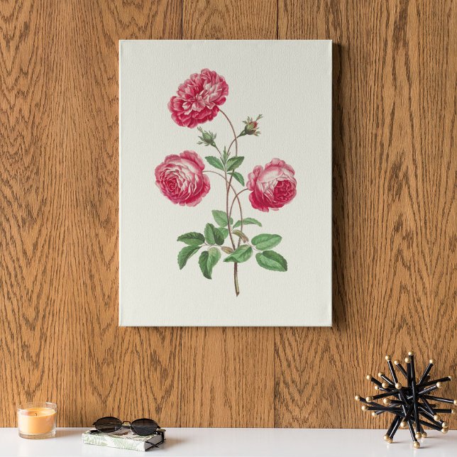 Antique Watercolor Botanical Print (Antique Watercolor Botanical Print)
