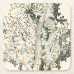 Antique Watercolor Coral Square Paper Coaster