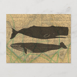 Antique Whale Nautical Vintage Ocean Sea Life Postcard
