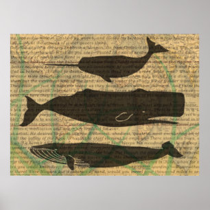 Antique Whale Nautical Vintage Ocean Sea Life Poster