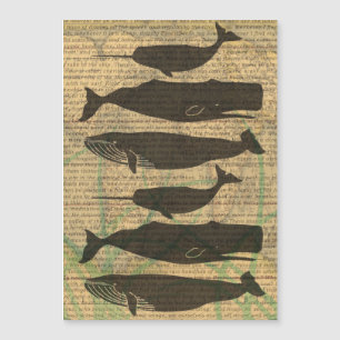 Antique Whale Nautical: Vintage Sea Life
