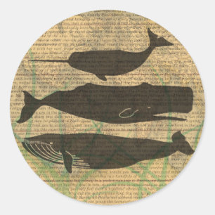 Antique Whale Nautical: Vintage Sea Life Classic Round Sticker