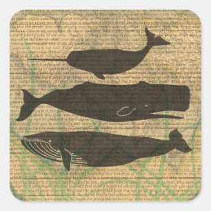  Antique Whale Nautical: Vintage Sea Life  Square Sticker