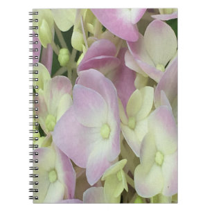 Antique White and Dusty Pink Hydrangea Petals Notebook