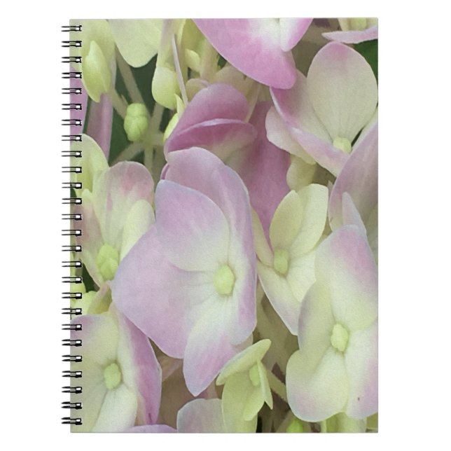 Antique White and Dusty Pink Hydrangea Petals Notebook (Front)
