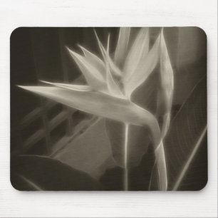 Antiqued Bird of Paradise 10 Mouse Pad