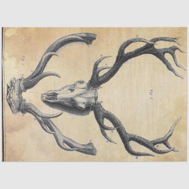 Antler Decoupage Paper (Front)