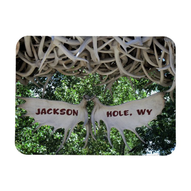  Antlers Arch Jackson Hole, Wyoming Travel  Magnet (Horizontal)