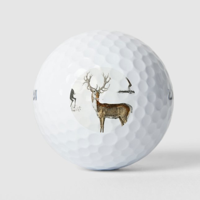 antlers, deer, nature, hunting, animal, buck, wild golf balls (Front)