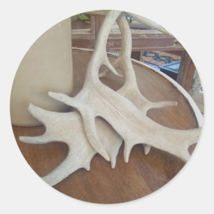 Antlers on Display Classic Round Sticker