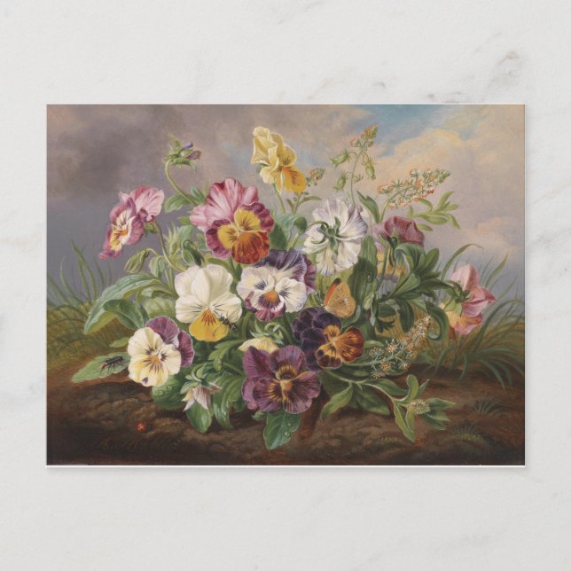 Anton Mollis Vintage Pansy Postcard (Front)