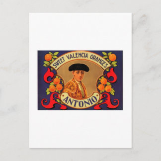 Antonio Sweet Valencia Oranges Postcard