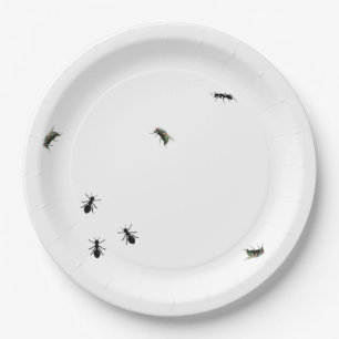 Ants And Flies Paper Plate