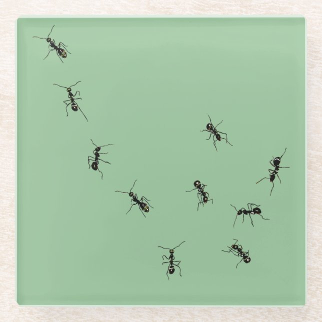 Ants Glass Coaster (Front)