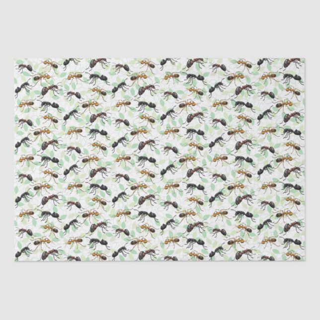 Ants Insects Bugs Creepy Crawly Creatures Tissue Paper (Front)