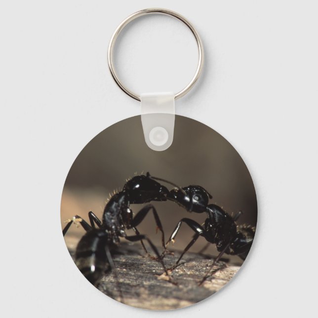 ants key ring (Front)