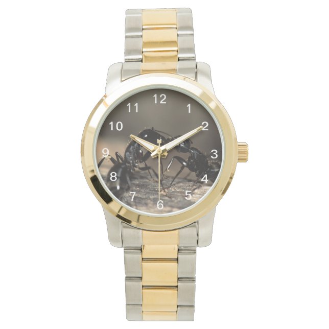ants kissing watch (Front)