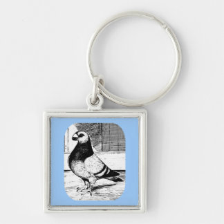 Antwerp Short Faced Pigeon Key Ring