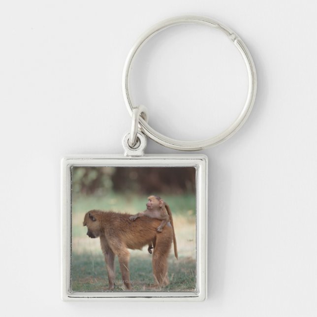 Anubis Baboon Key Ring (Front)