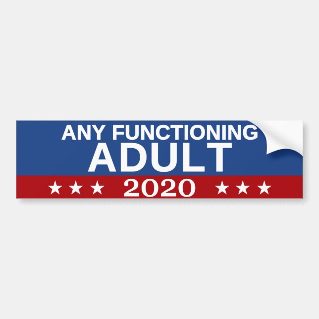 Any Functioning Adult 2020 Bumper Sticker (Front)