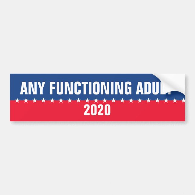 Any Functioning Adult 2020 Bumper Sticker (Front)