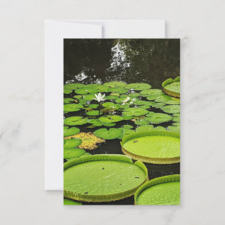Any Occasion Cards