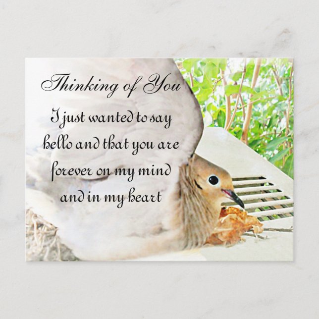 Any-Occasions_ Postcard (Front)