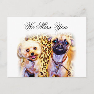 Any Occasions_ Postcard