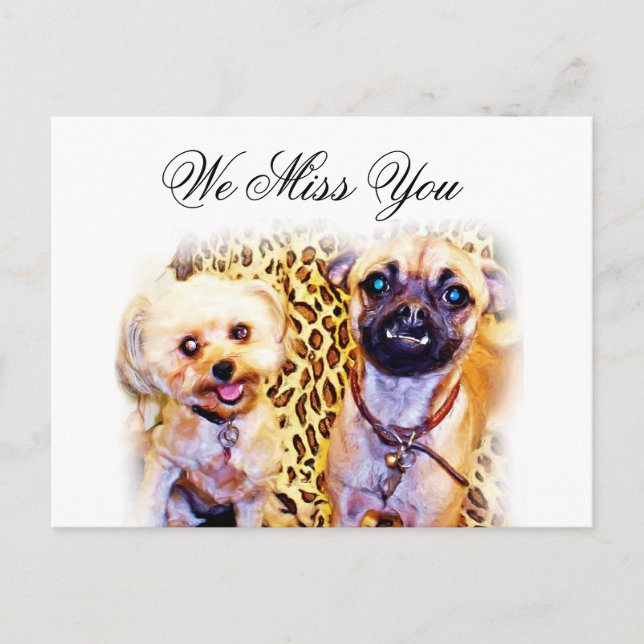 Any Occasions_ Postcard (Front)