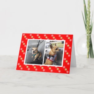 Any Photo Snowflakes Christmas/Holiday Card