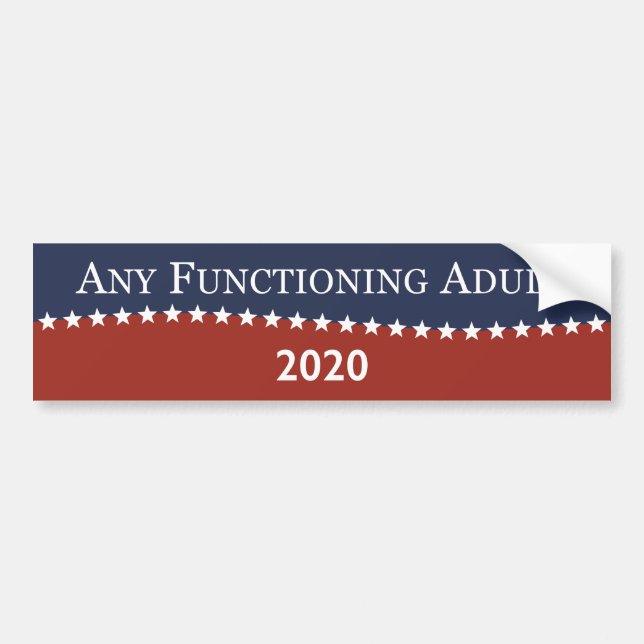 Anyone For President Bumper Sticker (Front)