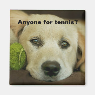 Anyone for tennis, golden retriever. magnet