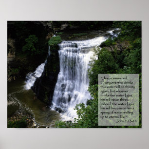 anyone who drinks of the water I give them will Poster