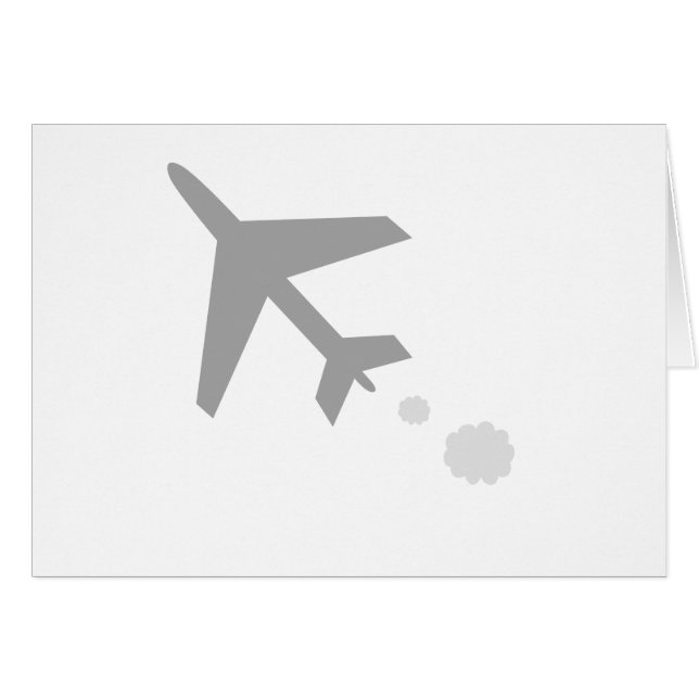 anything aeroplane; plane (Front Horizontal)