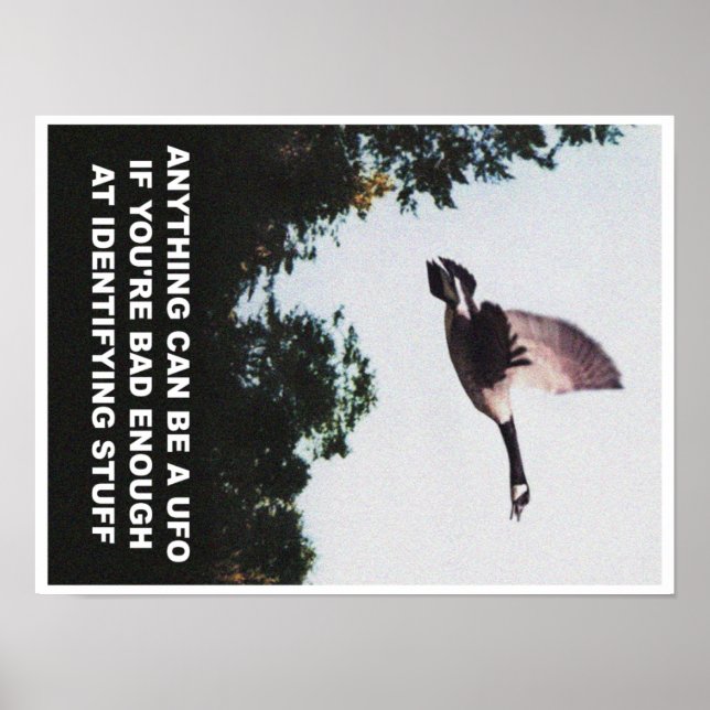 Anything can be a UFO (small) Poster (Front)