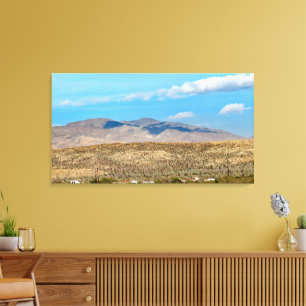 Anza Borrego Desert State Park  Canvas Print